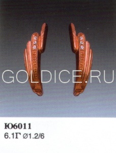 Ю6011