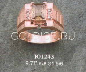 Ю1243