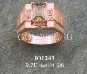 Ю1243