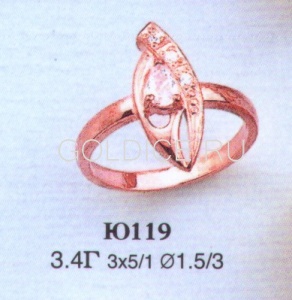 Ю119