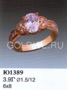 Ю1389