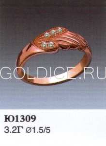 Ю1309