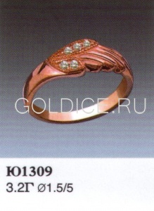 Ю1309