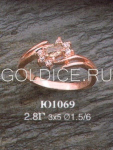 Ю1069