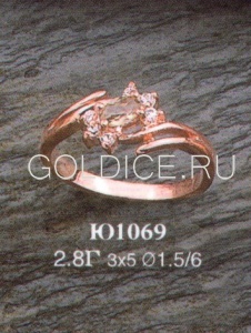 Ю1069