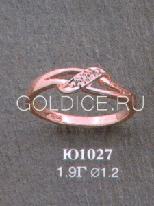 Ю1027