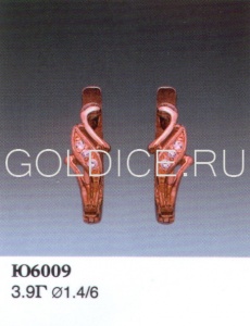 Ю6009