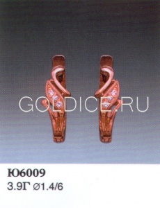 Ю6009