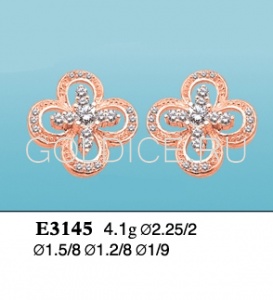 Е3145