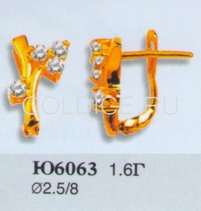 Ю6063
