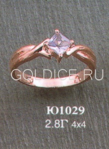 Ю1029