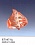 Е7167