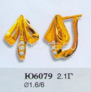 Ю6079