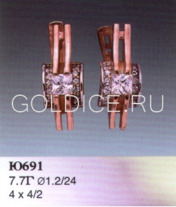 Ю691