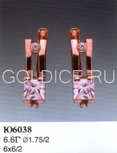 Ю6038
