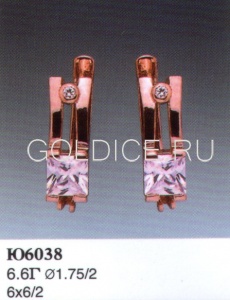 Ю6038