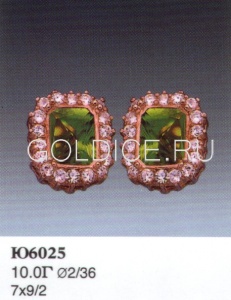 Ю6025