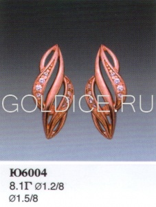 Ю6004