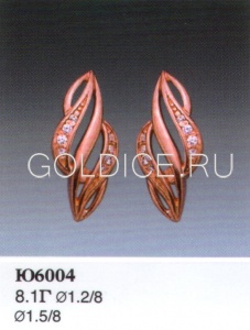 Ю6004