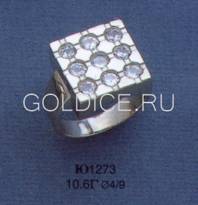 Ю1273