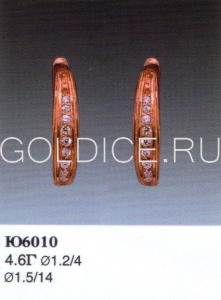 Ю6010