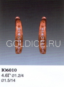 Ю6010