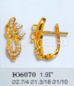 Ю6070