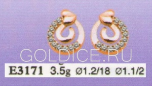 Е3171