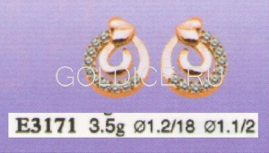 Е3171