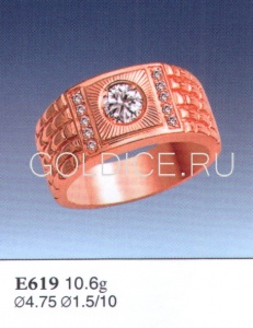 Е619