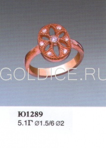 Ю1289