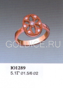 Ю1289