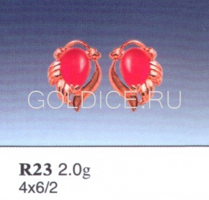 R23