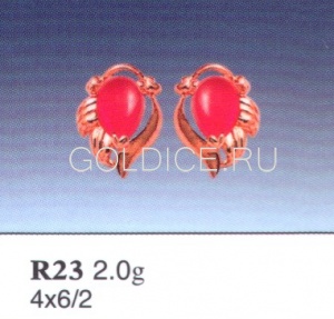 R23