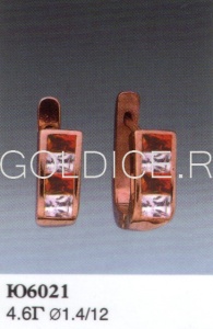 Ю6021