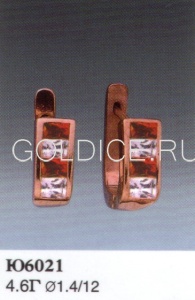 Ю6021