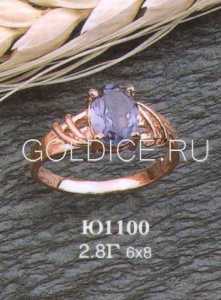 Ю1100