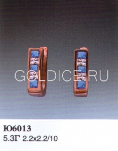 Ю6013