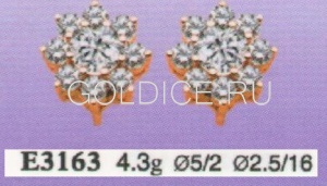 Е3163