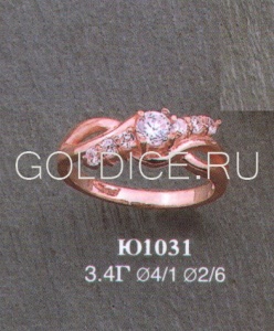 Ю1031