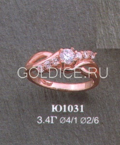 Ю1031