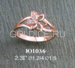 Ю1036