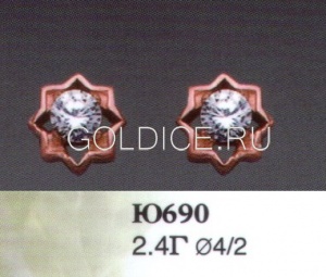 Ю690