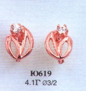 Ю619