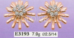 Е3193