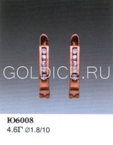 Ю6008