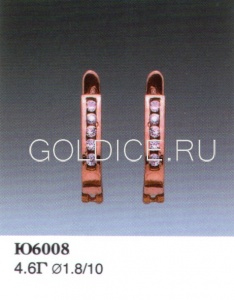 Ю6008