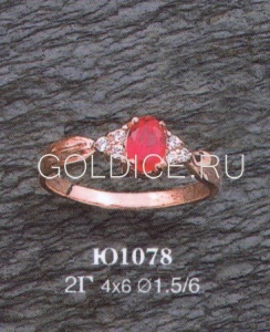 Ю1078