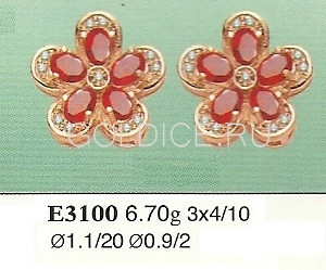 Е3100