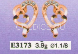 Е3173